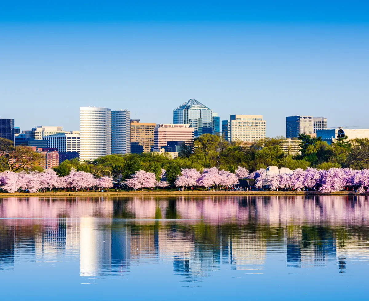 masthead washington dc.webp